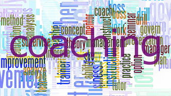 Kaiyun(中国)开云-中小学体育教师专业能力提升策略，中小学体育教师专业能力提升策略研究  第3张