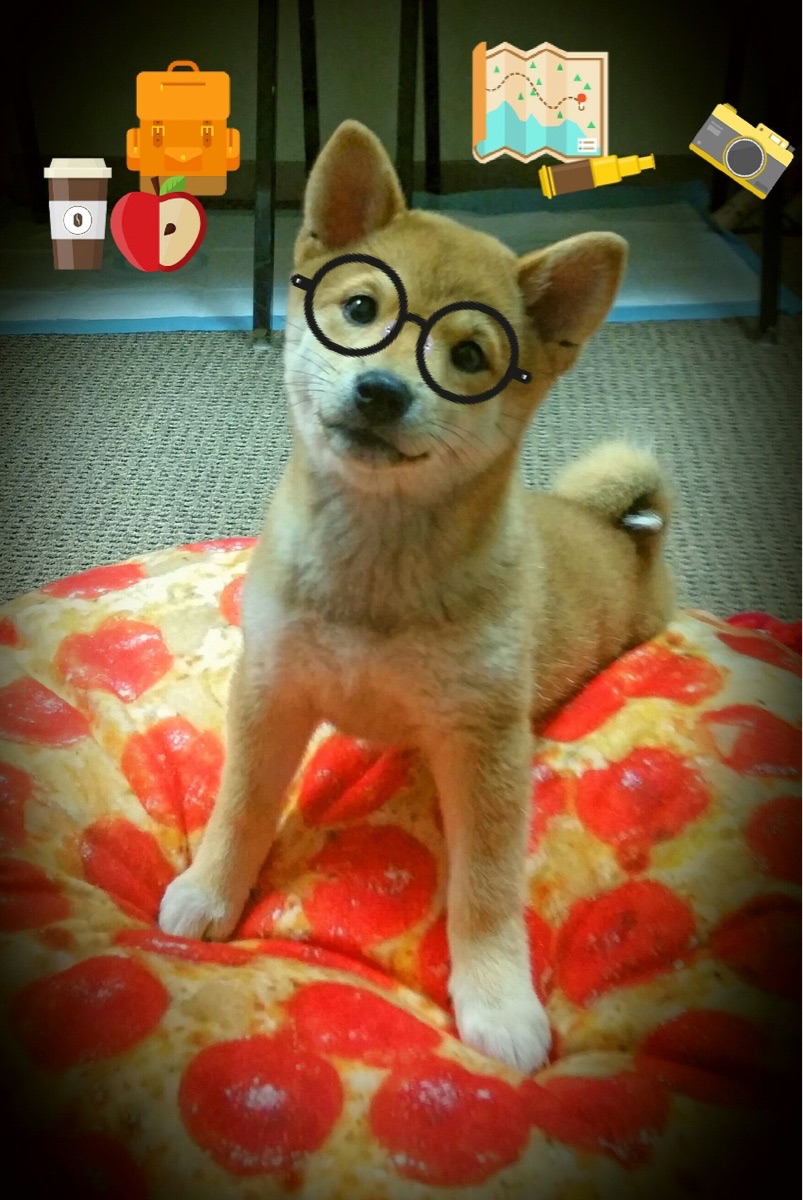 Kaiyun APP-中小学体育教师专业能力提升路径探讨与实践，中小学体育教师应具备哪些核心素养  第4张