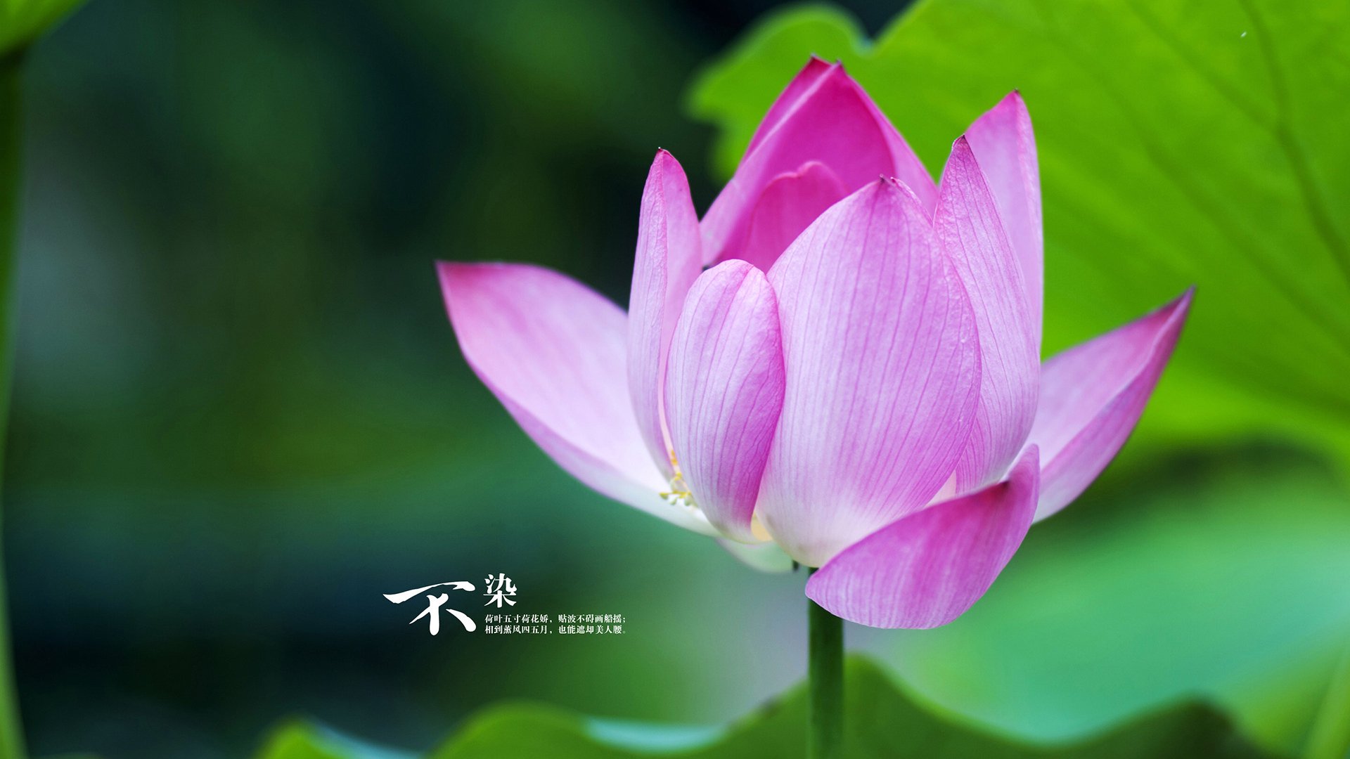 开云官方网站-中小学体育教师创新教学策略，创新教学在小学体育教学中的重要性