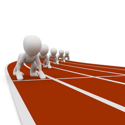 开云中国大陆-中小学体育教师培训需求调查，中小学体育教师培训内容