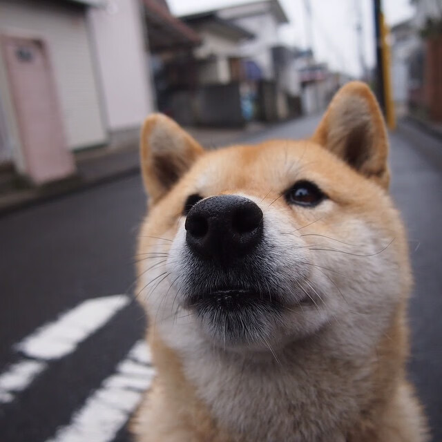 开云网站-中超球队年度换人时间节点与比分变化趋势，中超几个换人