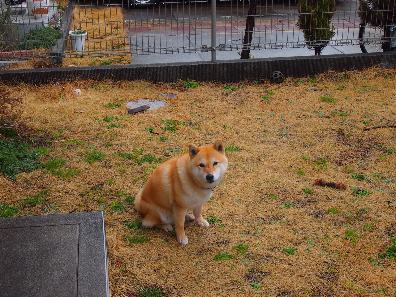 kaiyun体育app-全国少儿竞走锦标赛拉开青少年运动新气象，儿童竞走比赛