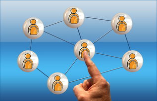 KAIYUNAPP-高校体育课程多样化选择机制研究，高校体育课程多样化选择机制研究现状