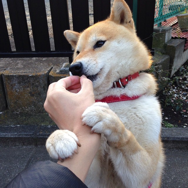 开云网页版-高校运动训练负荷动态调控研究，运动训练负荷统计方法