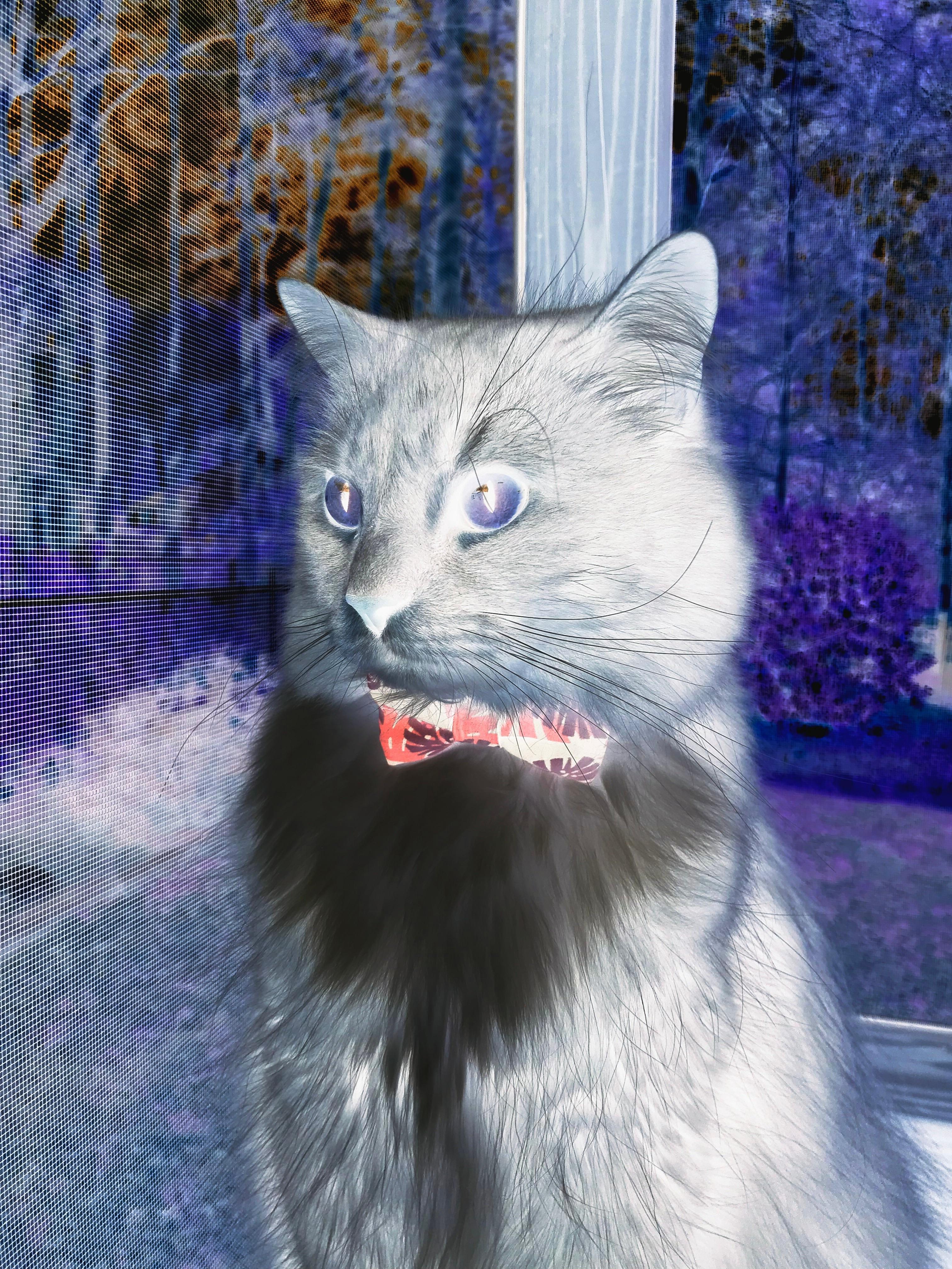 开云·体育官网APP下载-世界杯预选赛国足惨败 球迷呼吁技术革新，2022年世界杯预选赛国足