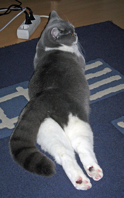 开云体育-中国男篮投篮稳定性为何长期缺失，中国男篮投篮稳定性为何长期缺失的原因  第2张