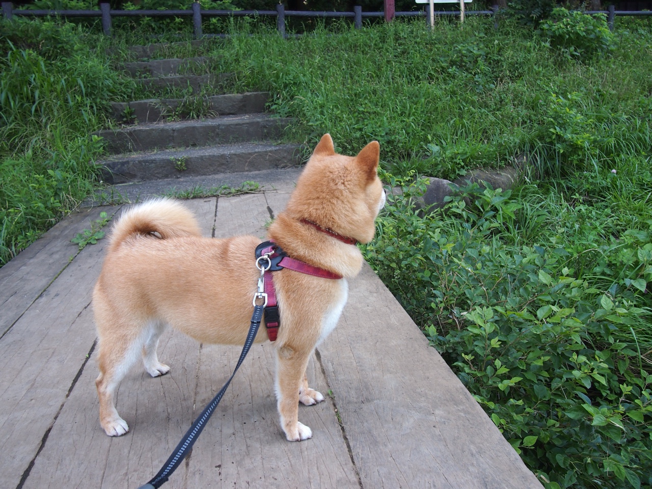 kaiyun官方入口登录-体育新闻中心参与高校体育传媒课程共建，体育新闻与管理系