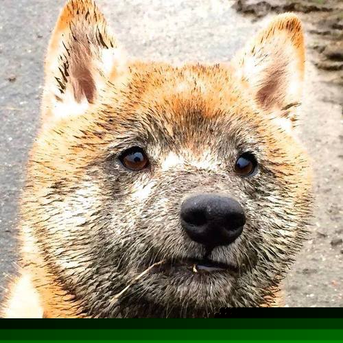 kaiyun体育app-体育新闻中心支持地方特色体育文化内容创作，体育新闻报道策划案