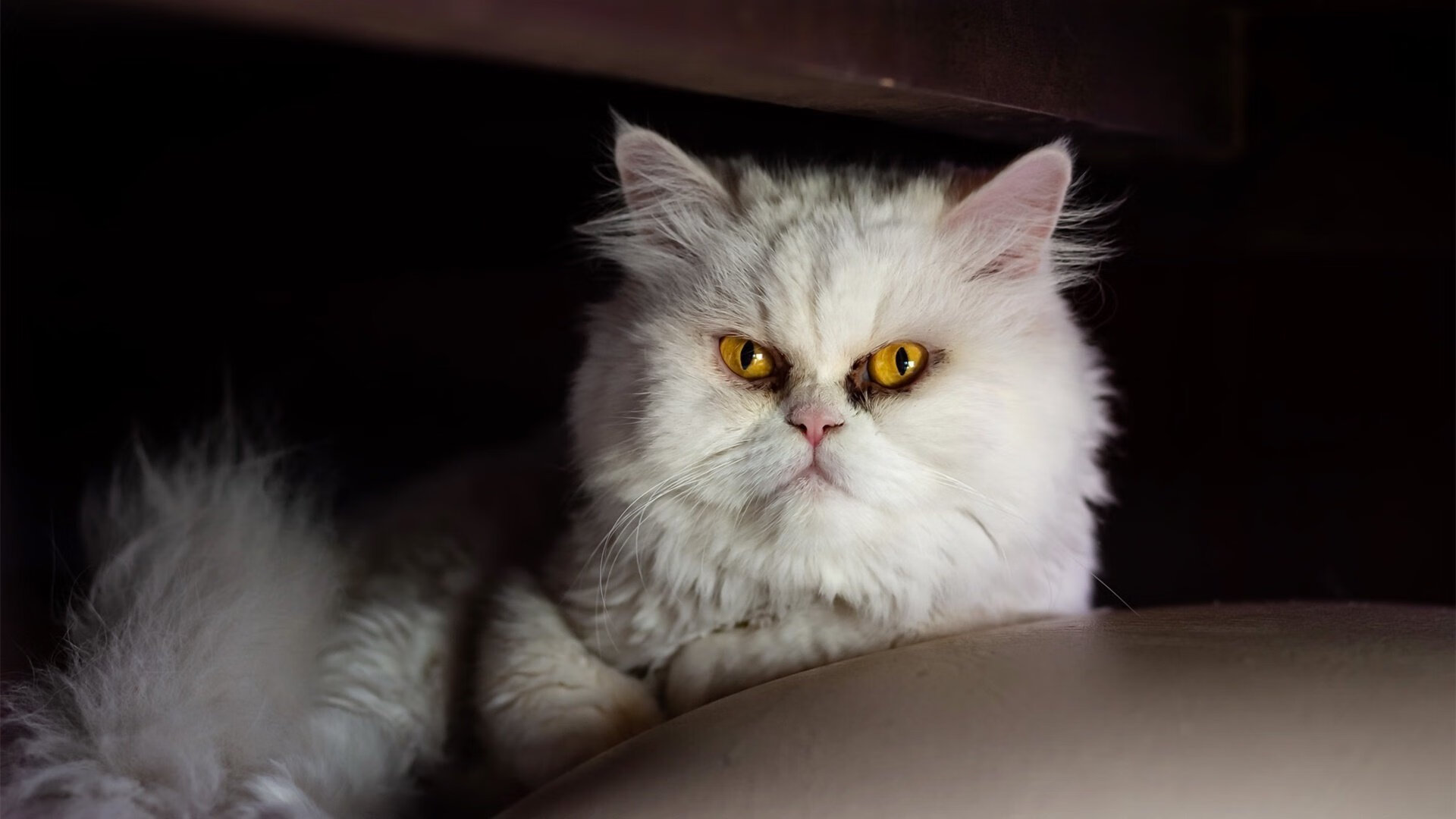 开云·体育官网APP下载-倒三角中场释放边路进攻空间，倒三角是什么运动