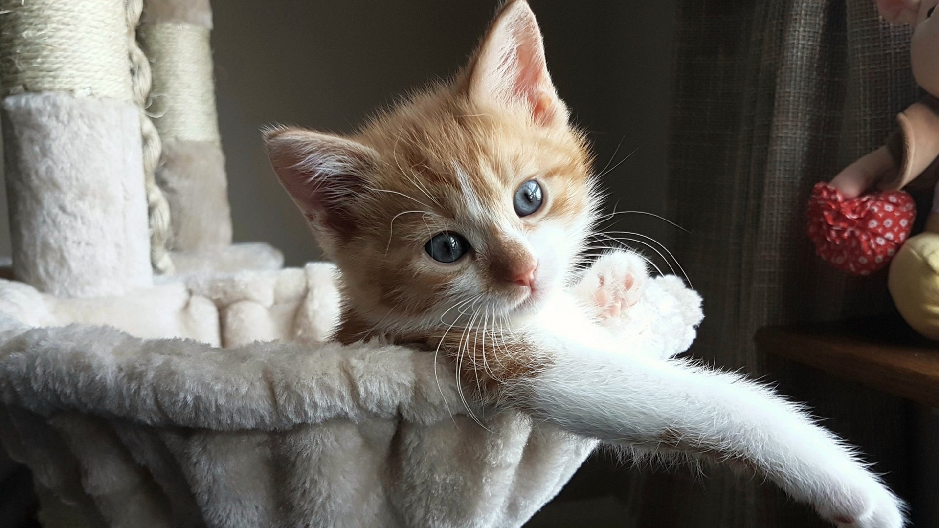 Kaiyun(中国)开云-射门转化率是否明显受控球时间影响，英超射门转化率