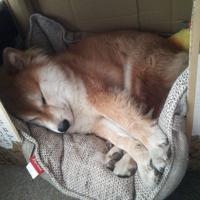 kaiyun网站-裁判素质提升计划全面铺开打造金哨团队，裁判哨子推荐