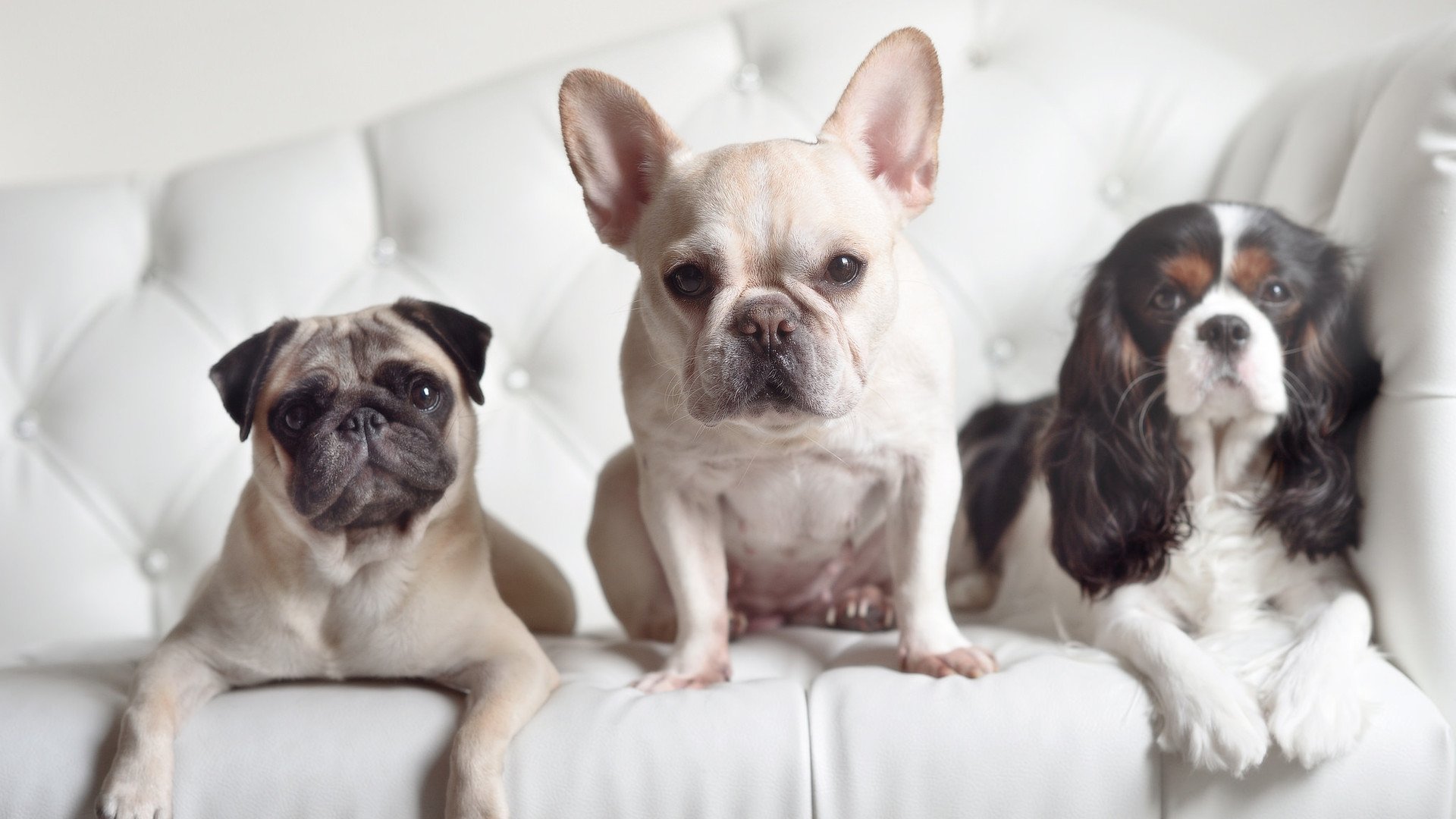 开云官网-都灵构建防线屏障遏制对方进攻