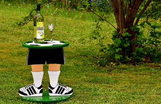 KAIYUN 中国大陆-未来足球比赛场馆融入创新生态系统，打造绿色可持续典范，足球场馆建设