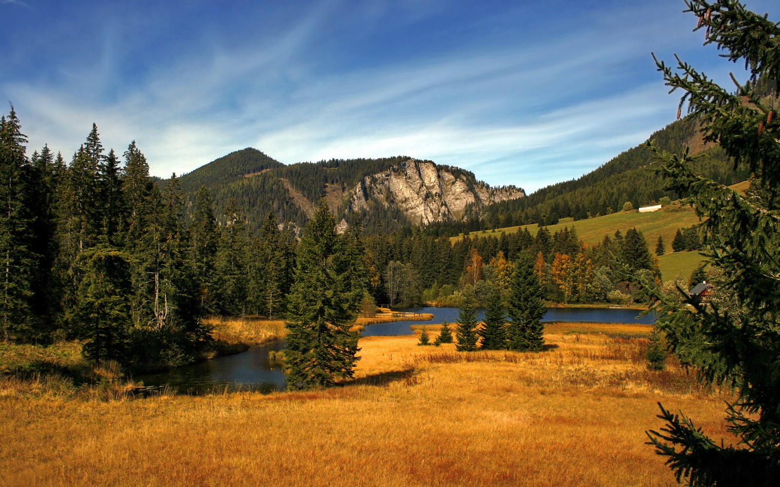开云入口-步行者主帅赛后表示对球员拼劲感到满意，步行者新主帅