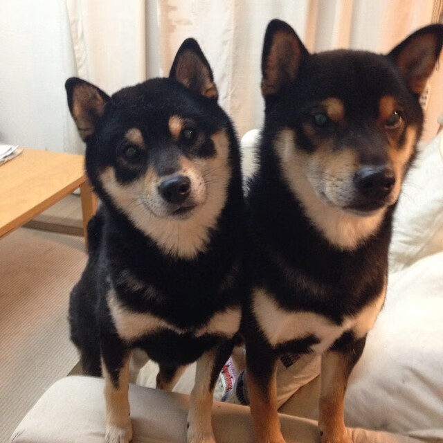 开云网页版-球员暑期转会动向频繁，多国俱乐部积极争抢核心人才，2021球员转会