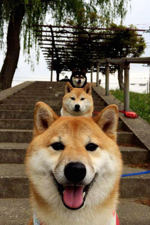 开云体育APP下载-联合训练营成常态，国际交流推动技术革新，联合训练体系