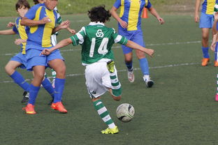 kaiyun.com-FM26新引擎体验如何？玩家热议首批试玩感受，fm 266