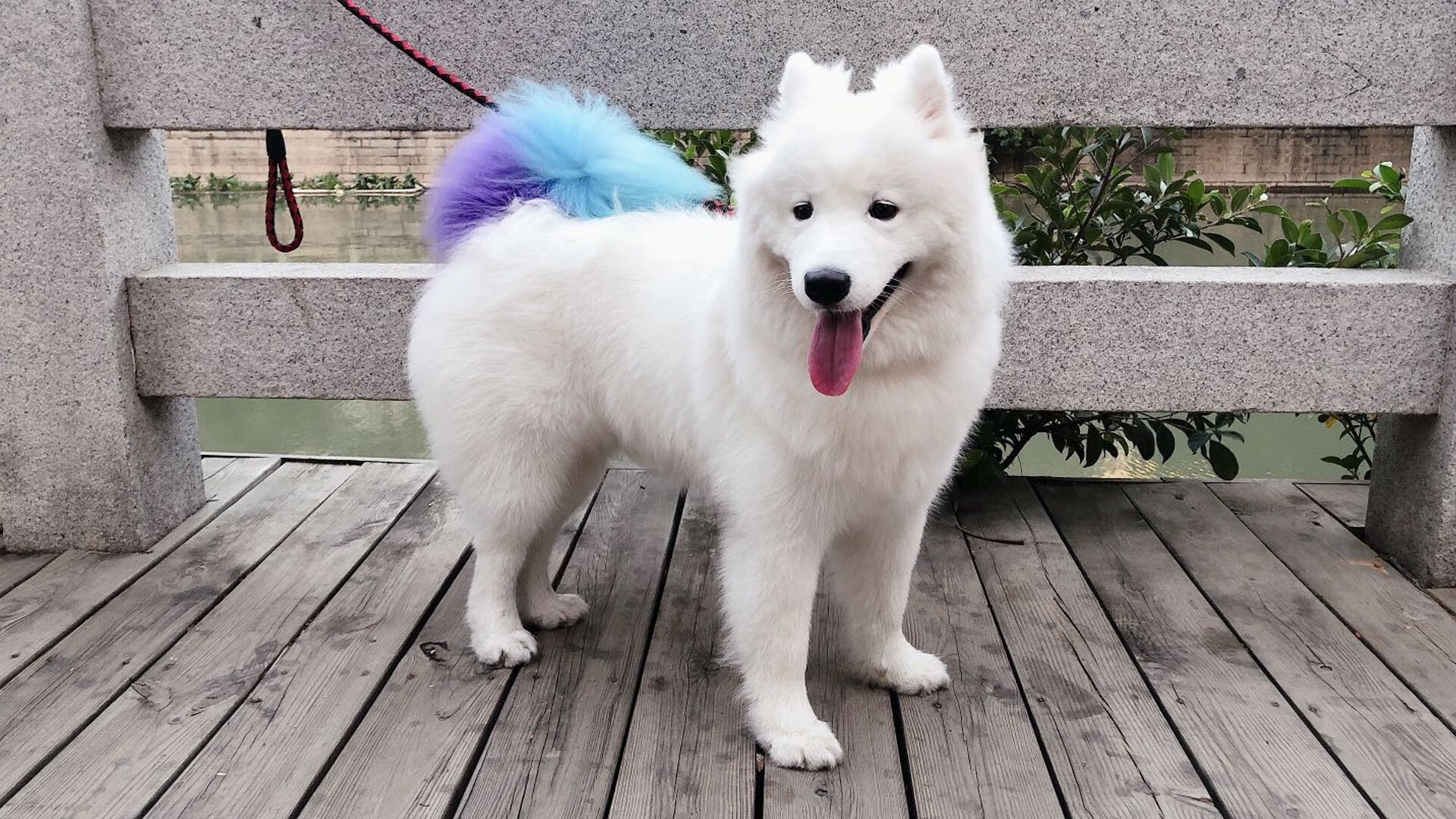 开云体育APP下载-借助横向转移拉扯对方阵型，横向迁移举例