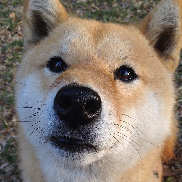 开云中国-养老金不是吃老本：投资运营成绩单出炉